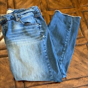 Torrid Blue Ankle Jeans